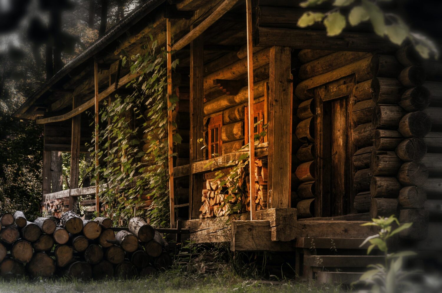 Rodzaje konstrukcji domów drewnianych